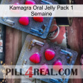 Kamagra Oral Jelly 1 Week Pack 14